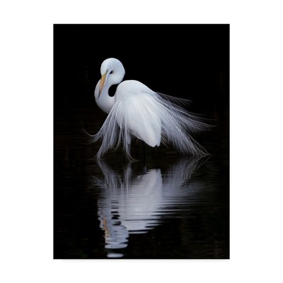 Elegant White Bird on Black Canvas Framed Art