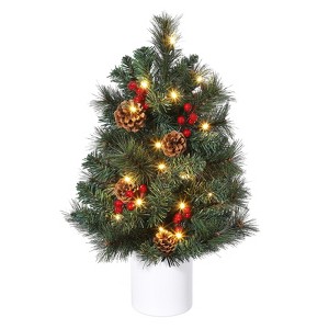 2 Ft Mini Christmas Tree with 30 Warm White Lights, Tabletop Xmas Decor with Red Berries & Pine Cones, Small Artificial Tree for Apartments, Green - 1 of 4