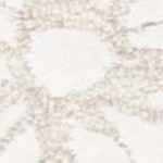 beige/ivory