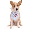 General Mills Monster Cereals Pet Bandana 3 Pack Sizes X-Small - X-Large - 3 of 4