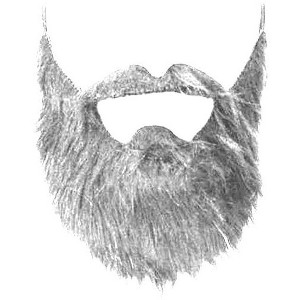 Dress Up America Fake Beard Costume - Costume Beard and Mustache - 1 of 1