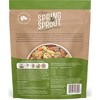 Freshpet Spring & Sprout Plant Based in Vegetable Flavor Wet Dog Food - 1.2lbs - 2 of 3