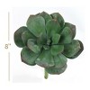 Floral Home 8" Real Touch Aeonium Succulent Plant - 12-Piece - 2 of 2