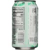 Just Ice Tea Organic Dragon Green Tea  - Case of 12/12 fz - 3 of 4