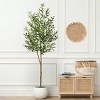 Boersma Oakpark Faux Olive Tree – Lifelike leaves and slender branches in a pot. Perfect for home décor with zero maintenance, year-round beauty. - 3 of 4