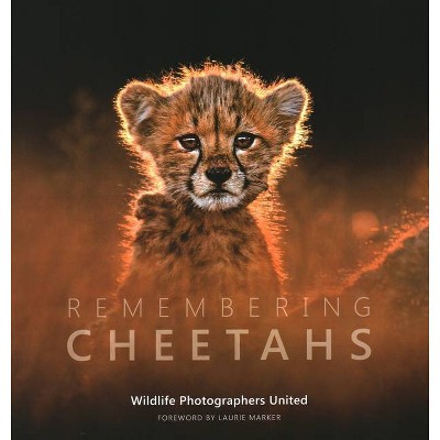 Remembering Cheetahs - by  Margot Raggett (Hardcover)