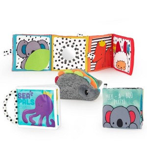 Sassy Toys Rookie Books Gift Set - 4pc - 1 of 4