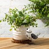 6"H Sullivans Variegated Foliage Mix Orb, Multicolored - 3 of 3