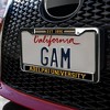 Adelphi University Full Size Standard License Plate Metal Frame - 3 of 4