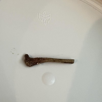 Guest review image 2 of 2, zoom in