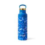 Leopard Blue 19oz Stainless Steel Water Bottle - DVF for Target