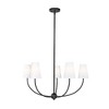 Z-Lite Shannon 5 - Light Chandelier in  Matte Black - 3 of 4