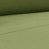 calla green