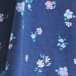 evening blue flowers