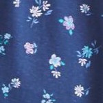 evening blue flowers