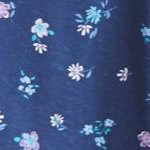 evening blue flowers