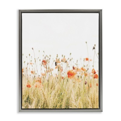 Stupell Industries Poppy Field Photography, 25" x 31"