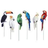 Collections Etc Realistic Tropical Bird Outdoor Garden Stakes - Set of 18