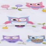 owls