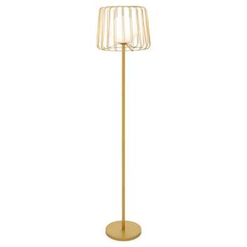 62.75" Lucas Caged Globe Shade Floor Lamp - River of Goods