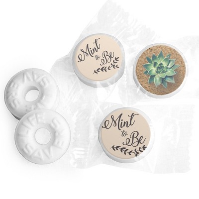 Mint to Be Wedding Mints Party Favor for Guests LifeSavers Mints (Approx. 335 mints & Stickers) - Succulent By Just Candy - Assembly Required