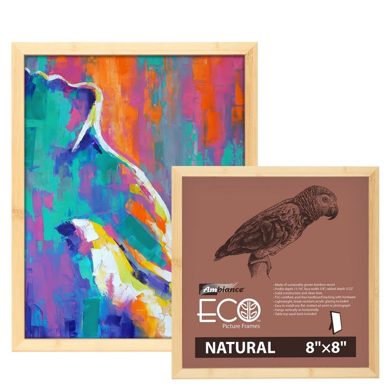 Ambiance Eco Frames - 4 Packs - Assorted Sizes and Colors, 4 of 7