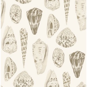 Brewster Cream Coquina Scalamandre Self Adhesive Wallpaper: NuWallpaper Vinyl Peelable Seashell Pattern, 30.75 Sq Ft Coverage - 1 of 4