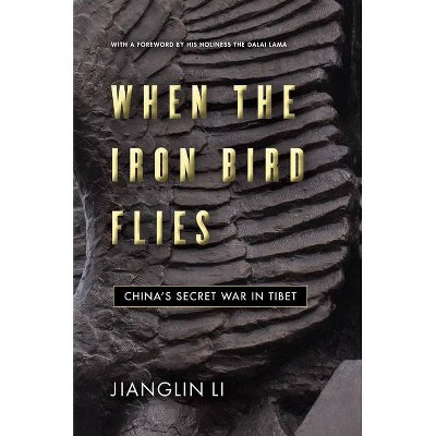When the Iron Bird Flies - by  Jianglin Li (Hardcover)