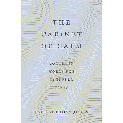 The Cabinet of Calm - by  Paul Anthony Jones (Hardcover)