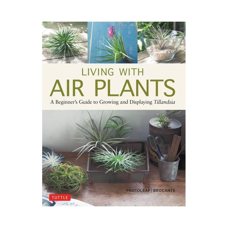Living with Air Plants - (Hardcover), 1 of 2