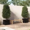 vidaXL Garden Planters 2 pcs Black 19.7"x19.7"x19.7" Solid Wood Pine - 2 of 4