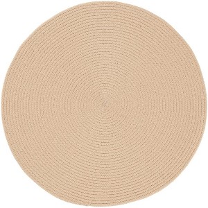 Braided BRD402 Hand Woven Area Rug  - Safavieh - 1 of 3