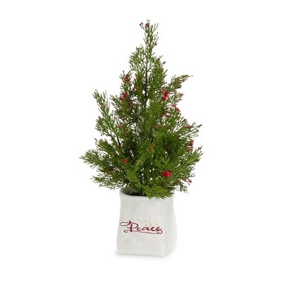 Set of 2 Potted Mini Pine Trees with Berry Accents