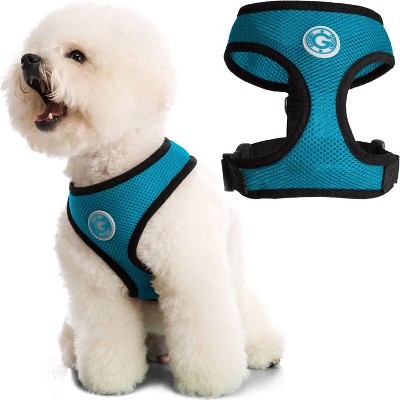 Gooby Soft Mesh Harness, Small Dog Harness with Breathable Mesh, Turquoise, Small