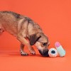 BARK Halloween Muttster Madness Spooky Party Favors Dog Plush Toy - 4 of 4