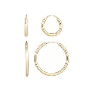Adornia 14k Gold Plated Set of 2 Endless Hoop Earrings - 1 of 4