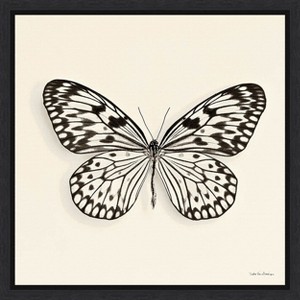 Amanti Art Butterfly V BW Crop by Debra Van Swearingen Framed Canvas Wall Art - 1 of 4