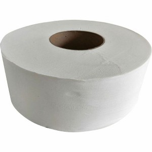 GEN 3.1 in. x 1000 ft. 2-Ply JRT Jr. Jumbo-Junior Bath Tissue - White (12/Carton) - 1 of 1