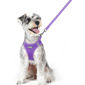 rabbitgoo Dog Harness Small Sized and Leash Set, Breathable Mesh Pet Harness, Reflective for Outdoor Safe Walking, Purple XL - 1 of 1