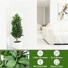 Artificial Laurel Trees with Ground Thorns, 2 Pieces 3 Feet Tall, UV-resistant Artificial Shrubs, Garden Terraces, Indoor and Outdoor Decoration. - 3 of 4