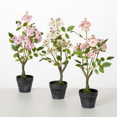 Sullivans Artificial 16.25" Mini Rose Bush Set of 3, Multicolor
