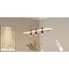 DOMETOUR Javeriah 4 - Light Black/Gold Dimmable LED Pendant Light[No Bulb] - 2 of 4