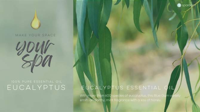 Eucalyptus Essential Oil&#160;10ml - SpaRoom, 2 of 6, play video