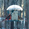 Birds Choice Hanging Seed Cylinder Bird Feeder: Acrylic & Metal, Weather-Resistant, No Assembly Required - 2 of 4