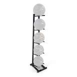 Power Systems PS-27150 Home Gym Medicine Ball Steel Tree Rack Storage for 5 Standard Size Balls, Black