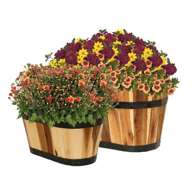 Set of 2 Acacia Wood Oval Barrel Planters with Metal Bands
