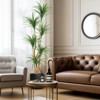 4-6FT Artificial Dracaena Tree - Realistic Adjustable Faux Plant for Indoor Decor, Living Room, Office & Photo Backdrops - 3 of 4