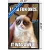Trends International Grumpy Cat - Fun Framed Wall Poster Prints - 3 of 4