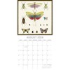 2026 Square Wall Calendar, Insects, 16-Month Arts & Antiques Theme with 180 Reminder Stickers (12x12 In) - 3 of 4
