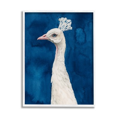 Stupell White Feather Peacock over Royal Blue Framed Giclee